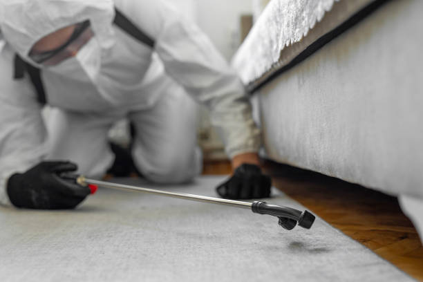 Professional Termite Control technician working in Oakland, NE