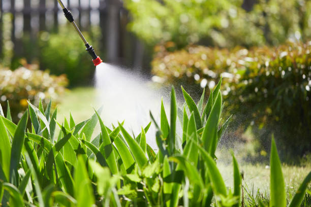 24/7 Emergency Termite Control experts in Oakland, NE