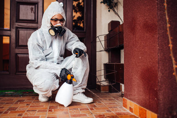 Reliable Termite Control contractor in Oakland, NE by Nex Pest Control