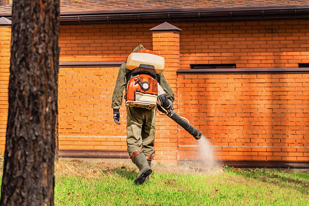 Top rated local Termite Control specialists in Oakland, NE